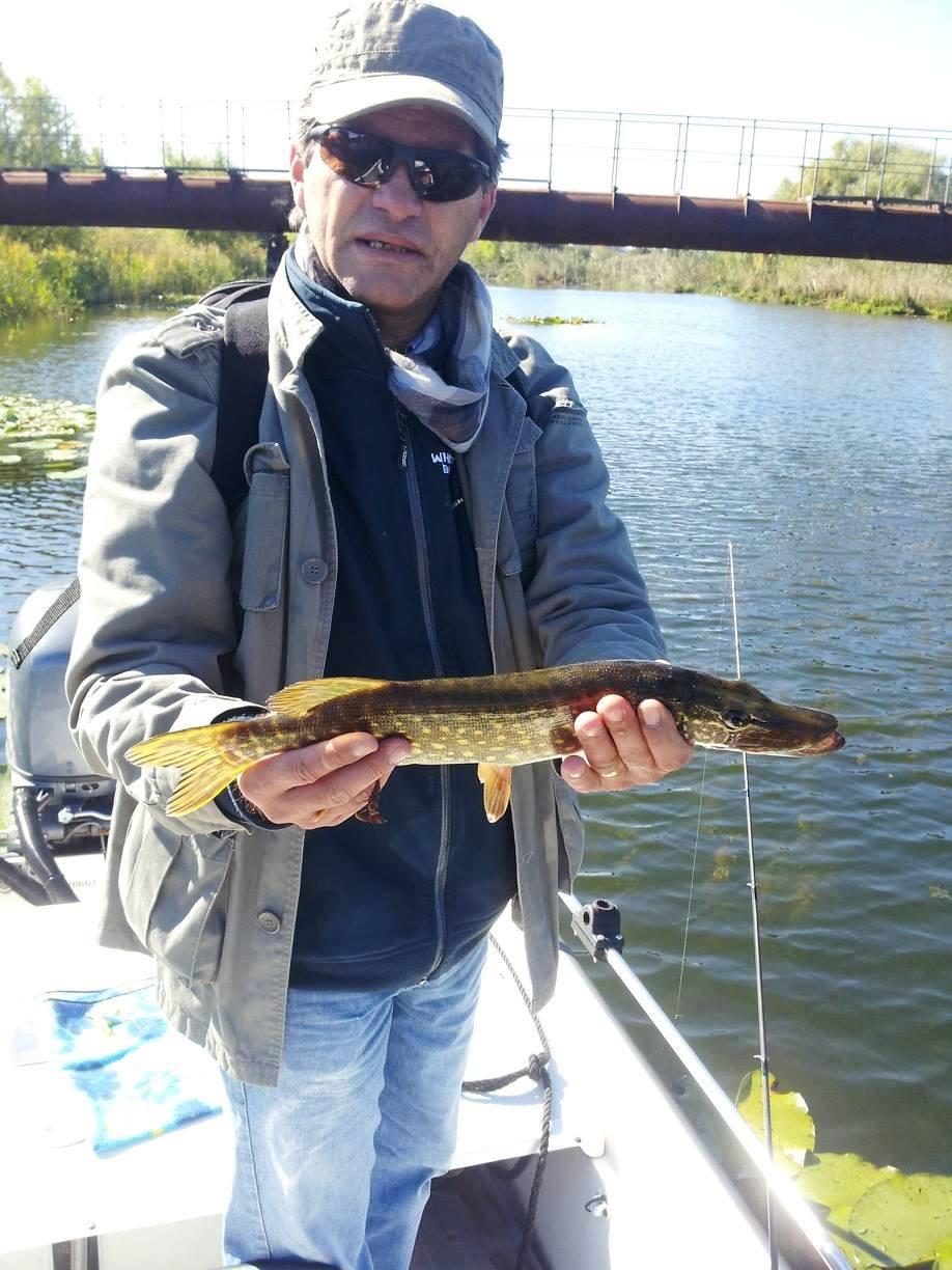 Stiucareala - Marlitza de Snagov